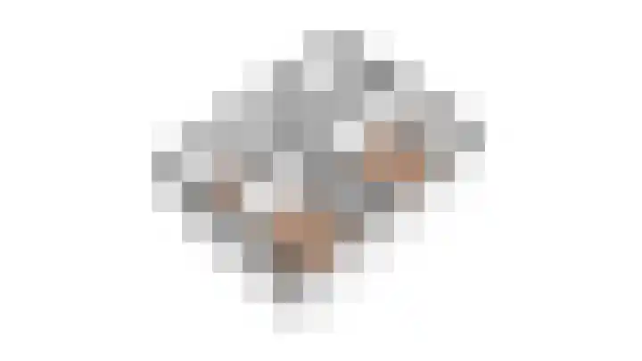 Kamperfoeliestraat 14 Rosmalen thumbnail 33