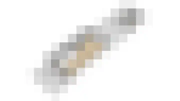 Kamperfoeliestraat 14 Rosmalen thumbnail 34