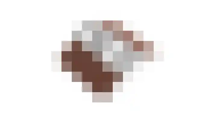 Kamperfoeliestraat 14 Rosmalen thumbnail 35