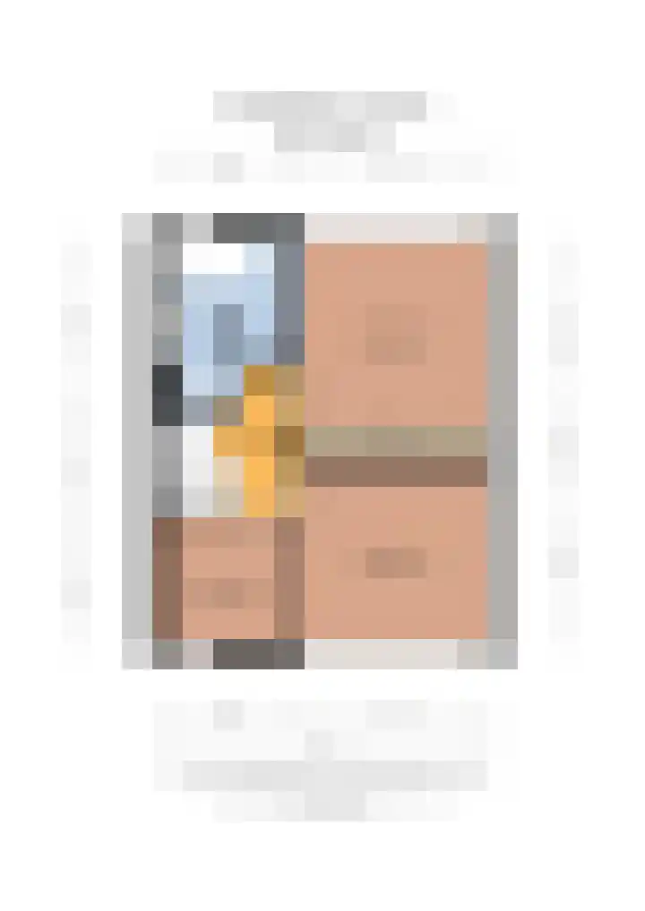 Kamperfoeliestraat 14 Rosmalen thumbnail 39