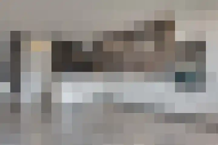 Kamperfoeliestraat 14 Rosmalen thumbnail 6