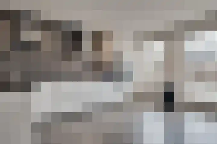 Kamperfoeliestraat 14 Rosmalen thumbnail 7