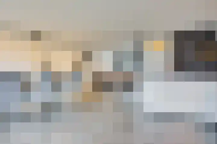 Kamperfoeliestraat 14 Rosmalen thumbnail 9