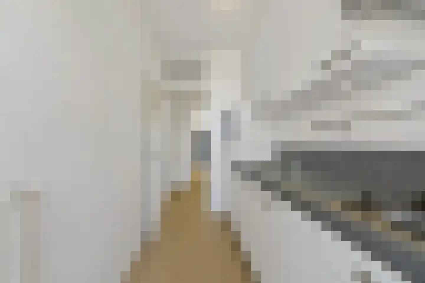Kamperfoeliestraat 147 Den Haag thumbnail 8