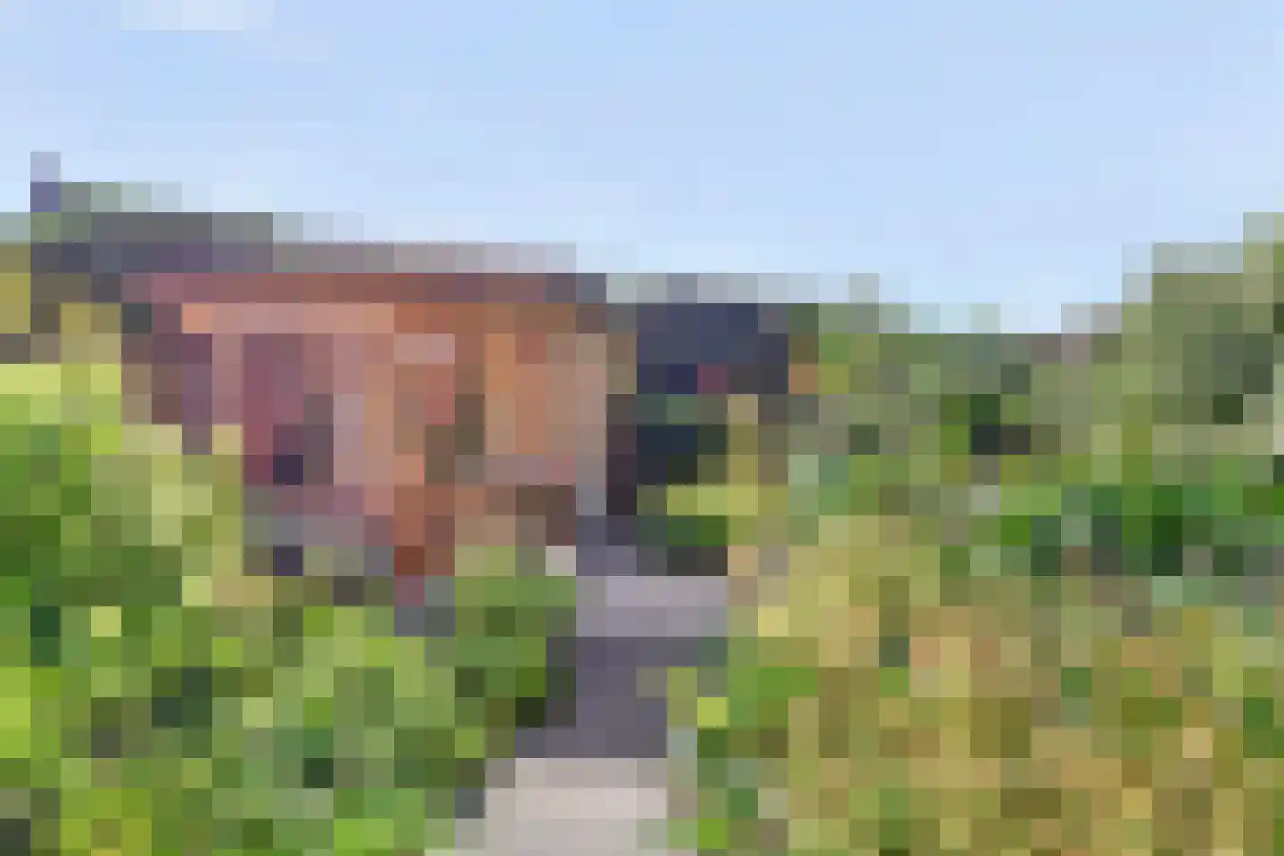 Kamperfoeliestraat 15 Goes thumbnail 30