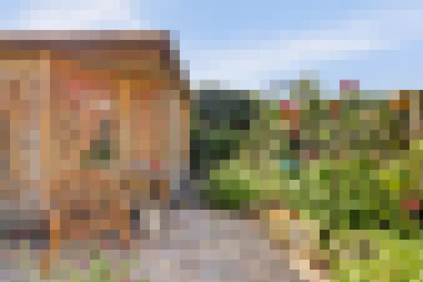 Kamperfoeliestraat 15 Goes thumbnail 31