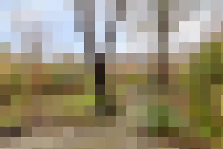 Kamperfoeliestraat 16 Nieuw-Vennep thumbnail 14
