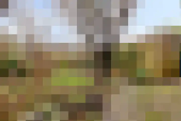 Kamperfoeliestraat 16 Nieuw-Vennep thumbnail 15