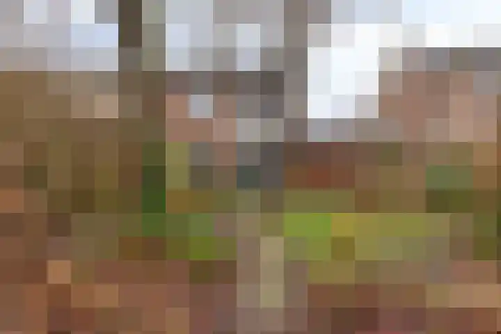 Kamperfoeliestraat 16 Nieuw-Vennep thumbnail 17