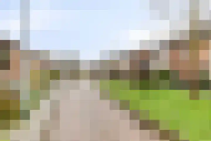 Kamperfoeliestraat 16 Nieuw-Vennep thumbnail 18