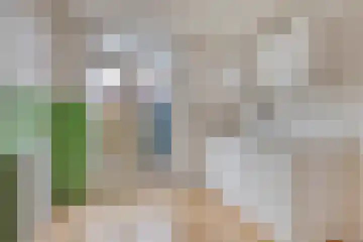 Kamperfoeliestraat 16 Nieuw-Vennep thumbnail 5