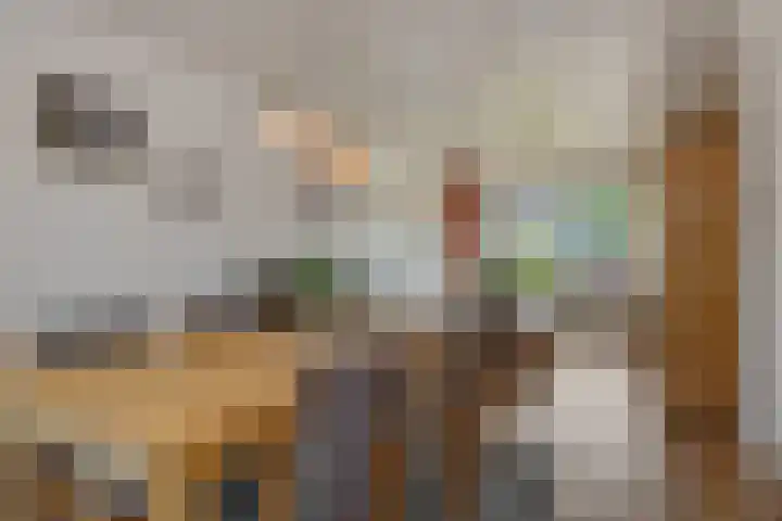 Kamperfoeliestraat 16 Rosmalen thumbnail 11