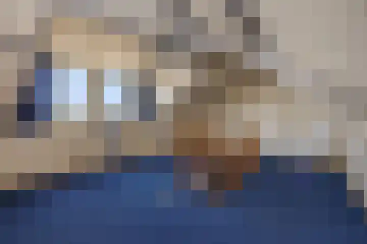 Kamperfoeliestraat 16 Rosmalen thumbnail 22