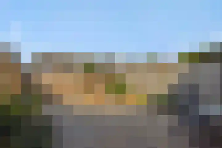 Kamperfoeliestraat 16 Rosmalen thumbnail 23