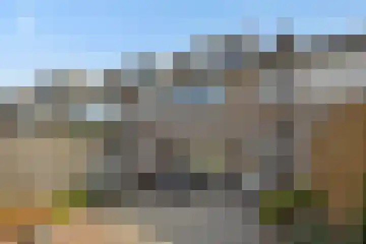 Kamperfoeliestraat 16 Rosmalen thumbnail 24