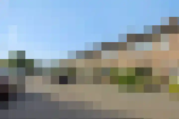 Kamperfoeliestraat 16 Rosmalen thumbnail 29