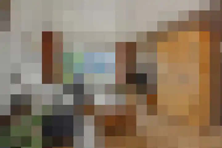 Kamperfoeliestraat 16 Rosmalen thumbnail 4