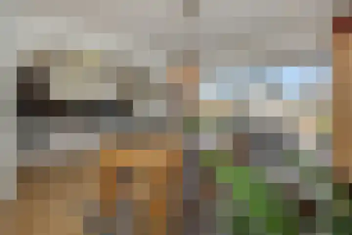 Kamperfoeliestraat 16 Rosmalen thumbnail 7