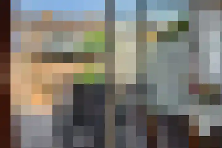 Kamperfoeliestraat 16 Rosmalen thumbnail 8
