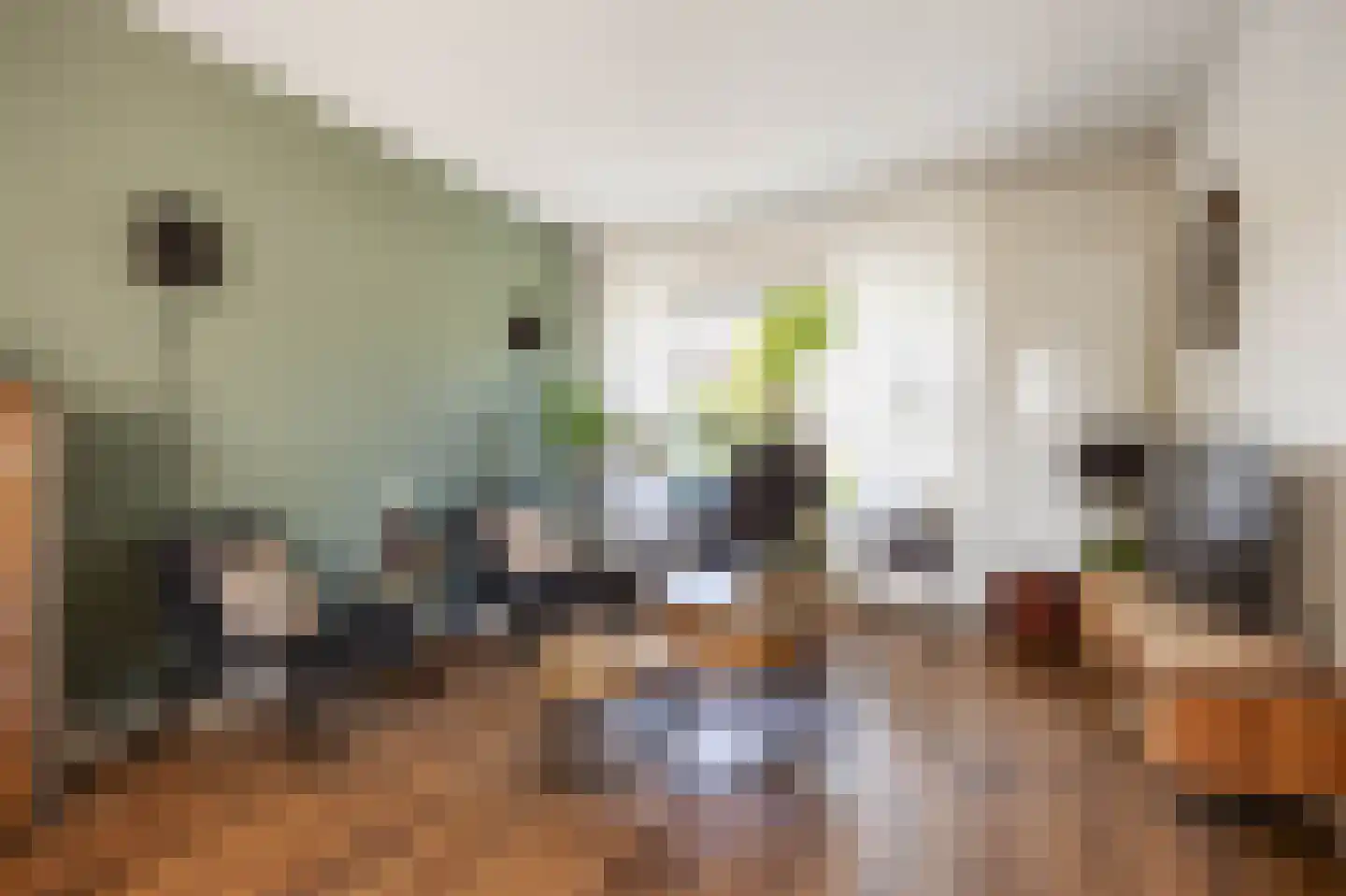 Kamperfoeliestraat 19 Musselkanaal thumbnail 13