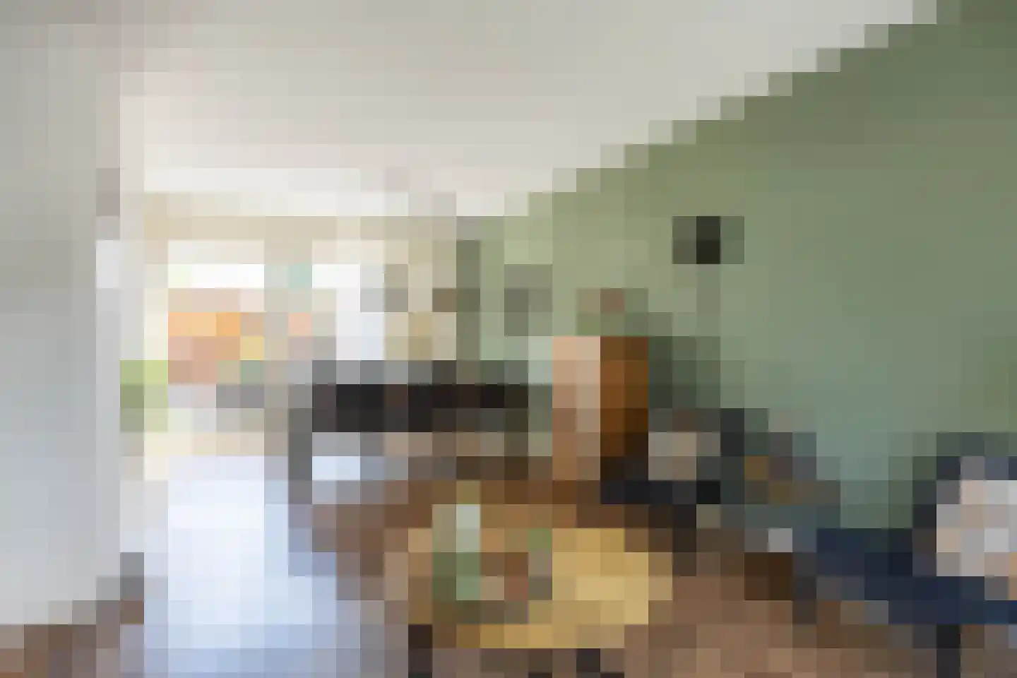 Kamperfoeliestraat 19 Musselkanaal thumbnail 15