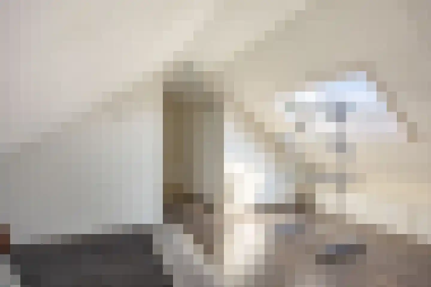 Kamperfoeliestraat 19 Musselkanaal thumbnail 38