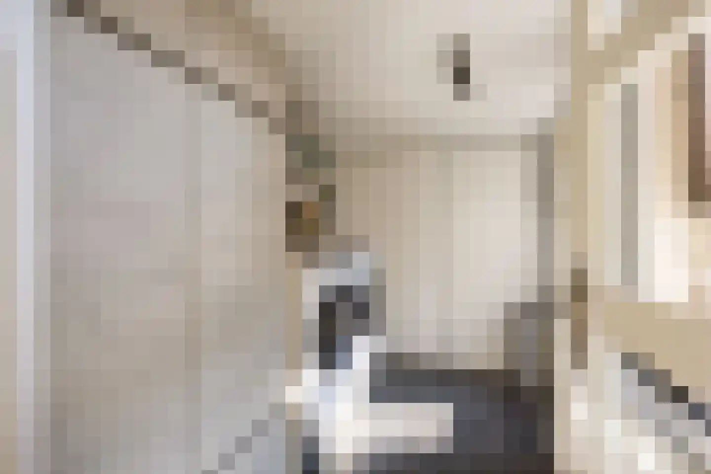 Kamperfoeliestraat 19 Musselkanaal thumbnail 39