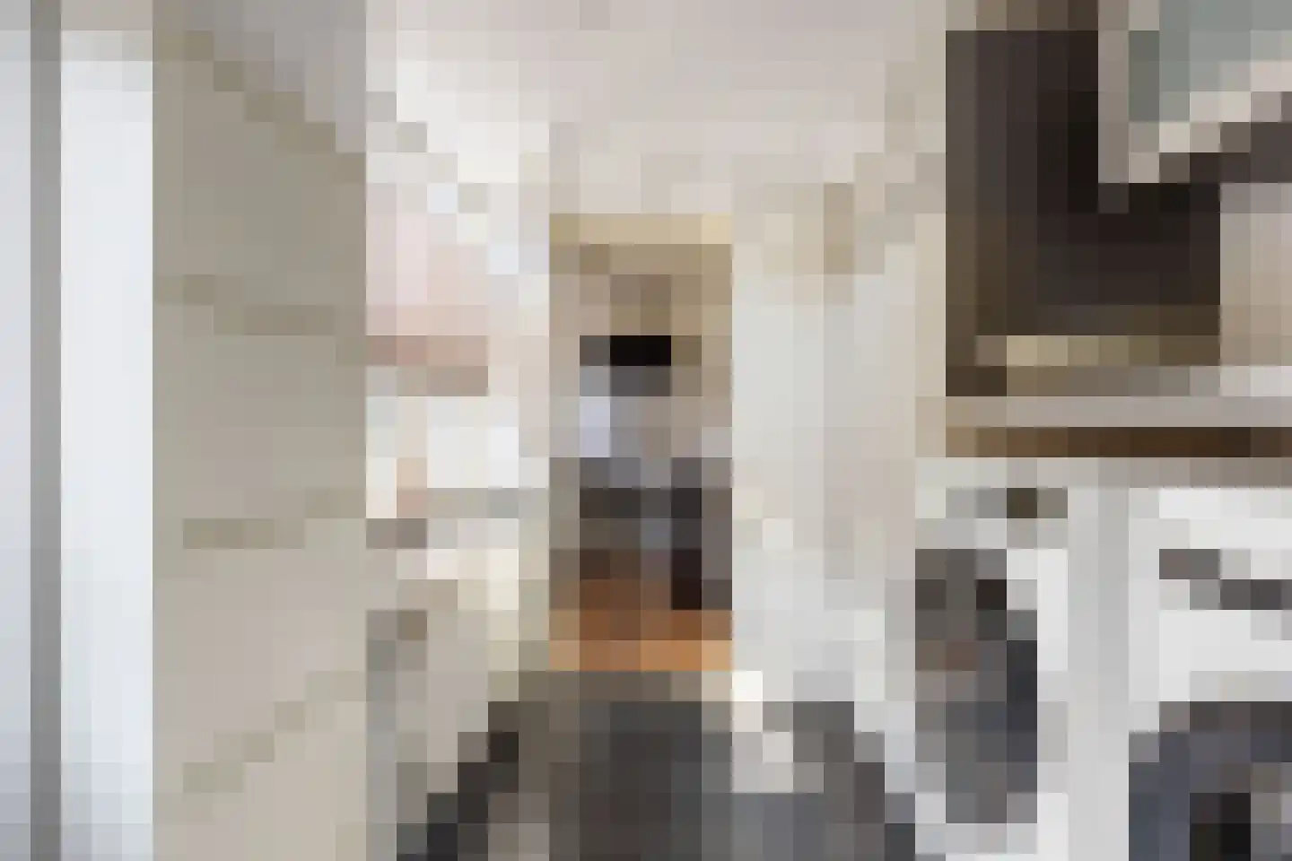 Kamperfoeliestraat 19 Musselkanaal thumbnail 40