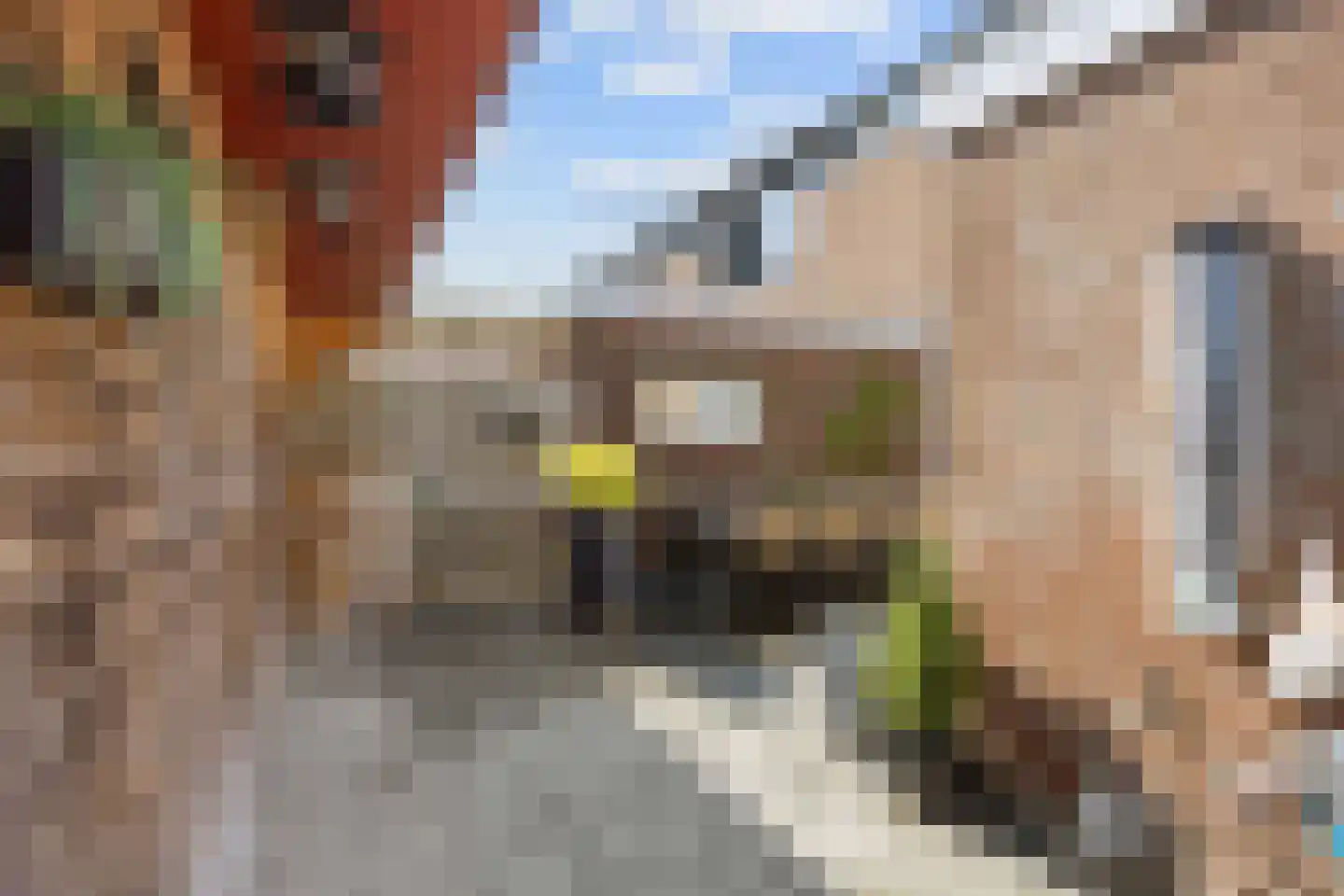 Kamperfoeliestraat 19 Musselkanaal thumbnail 47