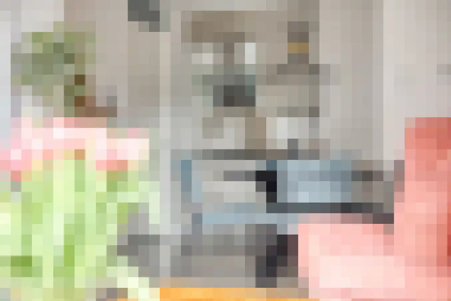 Kamperfoeliestraat 2 Oss thumbnail 11