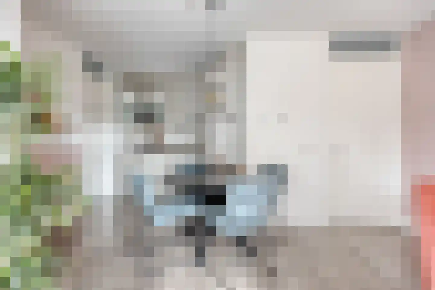 Kamperfoeliestraat 2 Oss thumbnail 12