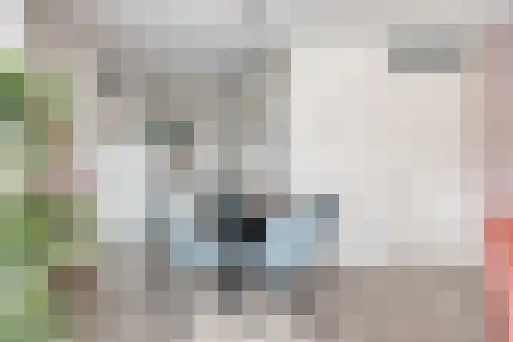 Kamperfoeliestraat 2 Oss thumbnail 12