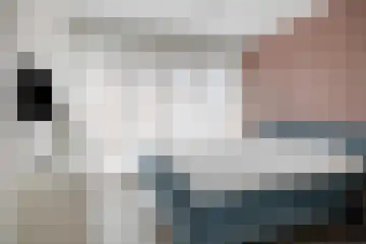 Kamperfoeliestraat 2 Oss thumbnail 14