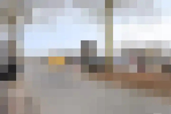 Kamperfoeliestraat 2 Oss thumbnail 23