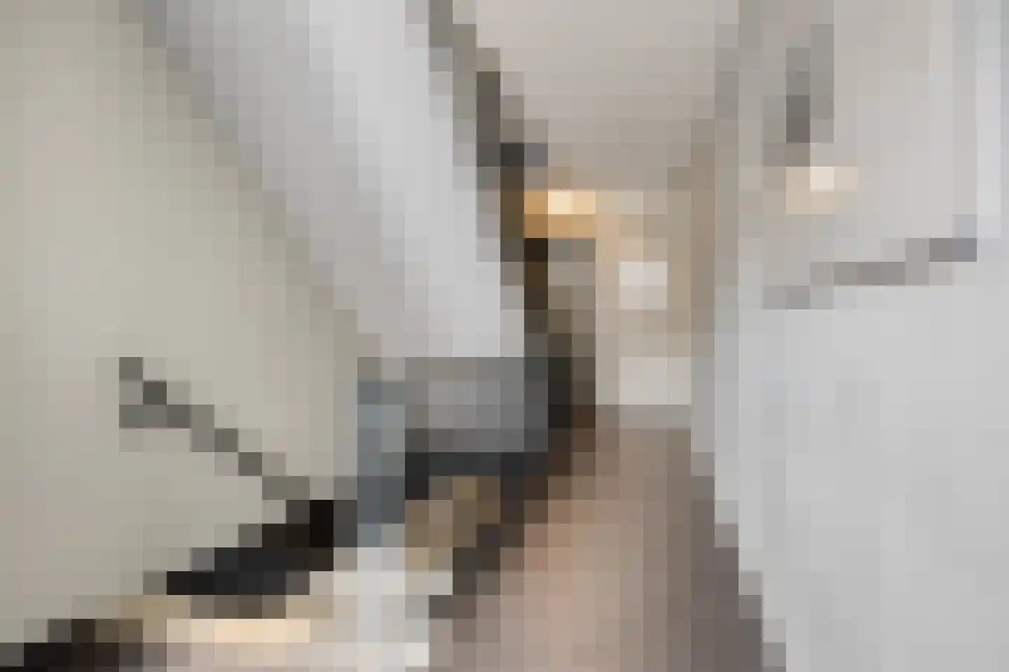 Kamperfoeliestraat 2 Oss thumbnail 6