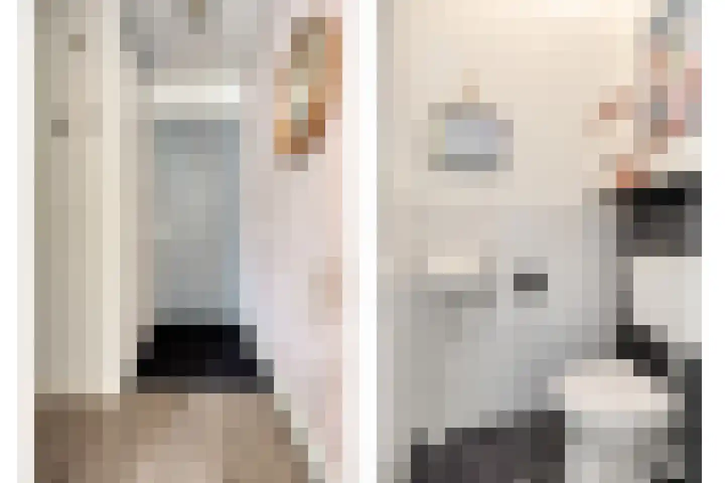 Kamperfoeliestraat 2 Oss thumbnail 8