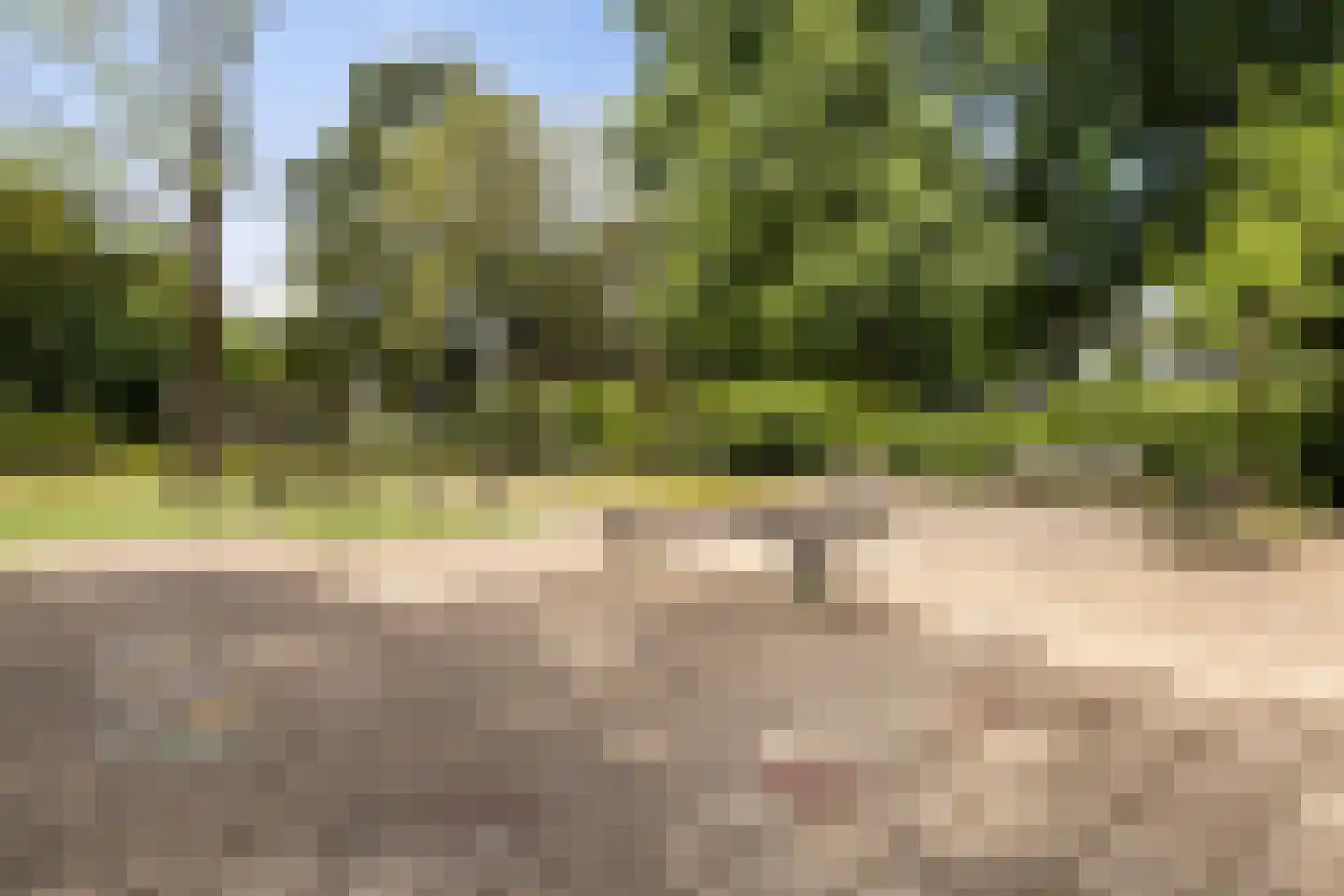 Kamperfoeliestraat 2 Soest thumbnail 27