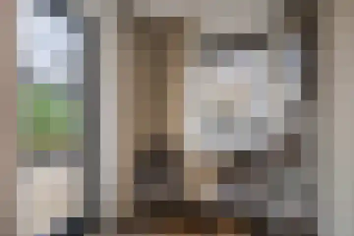 Kamperfoeliestraat 20 Sint-Michielsgestel thumbnail 10
