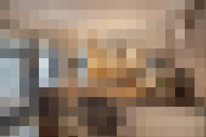 Kamperfoeliestraat 20 Sint-Michielsgestel thumbnail 11