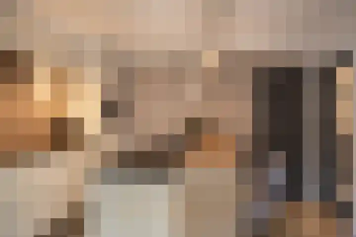 Kamperfoeliestraat 20 Sint-Michielsgestel thumbnail 12