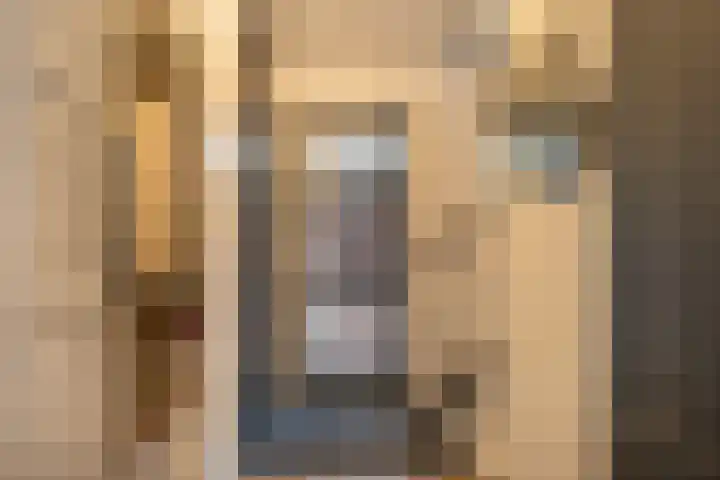 Kamperfoeliestraat 20 Sint-Michielsgestel thumbnail 17