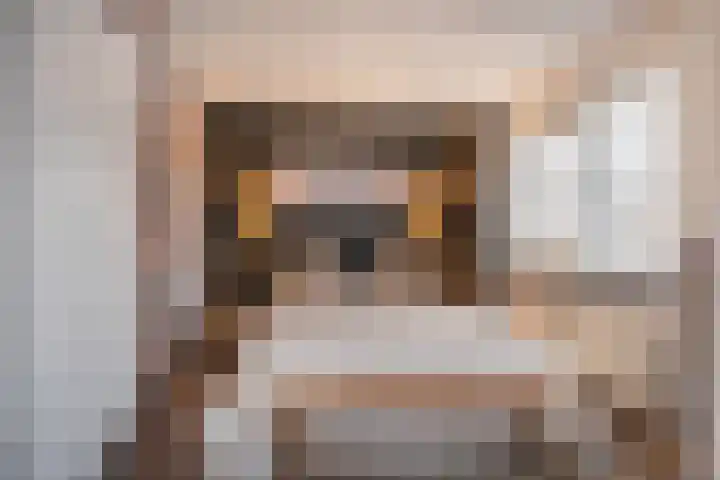 Kamperfoeliestraat 20 Sint-Michielsgestel thumbnail 18