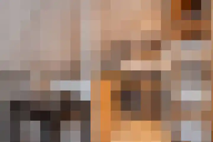 Kamperfoeliestraat 20 Sint-Michielsgestel thumbnail 27