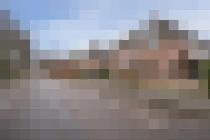 Kamperfoeliestraat 20 Sint-Michielsgestel thumbnail 35