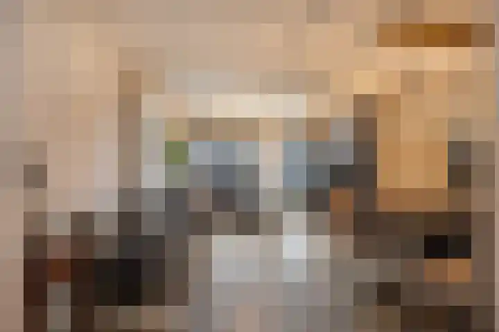 Kamperfoeliestraat 20 Sint-Michielsgestel thumbnail 6