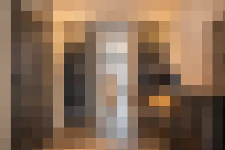 Kamperfoeliestraat 20 Sint-Michielsgestel thumbnail 7
