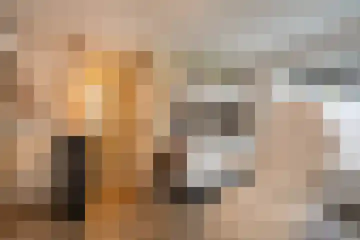 Kamperfoeliestraat 20 Sint-Michielsgestel thumbnail 8