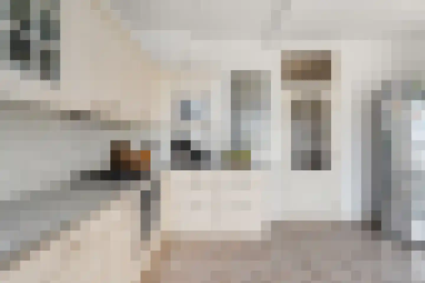 Kamperfoeliestraat 211 Den Haag thumbnail 24
