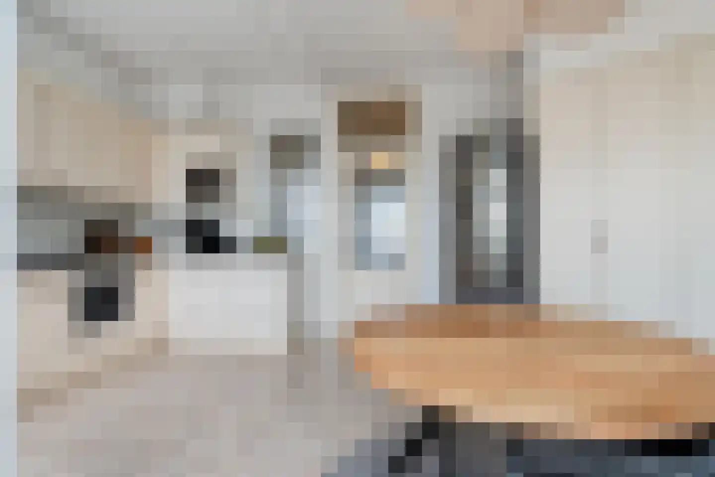 Kamperfoeliestraat 211 Den Haag thumbnail 26
