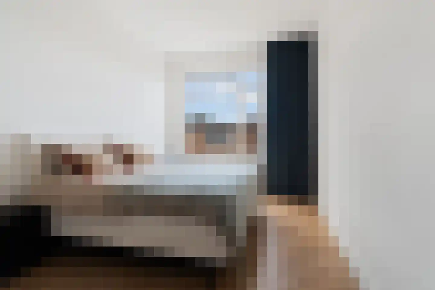 Kamperfoeliestraat 211 Den Haag thumbnail 38